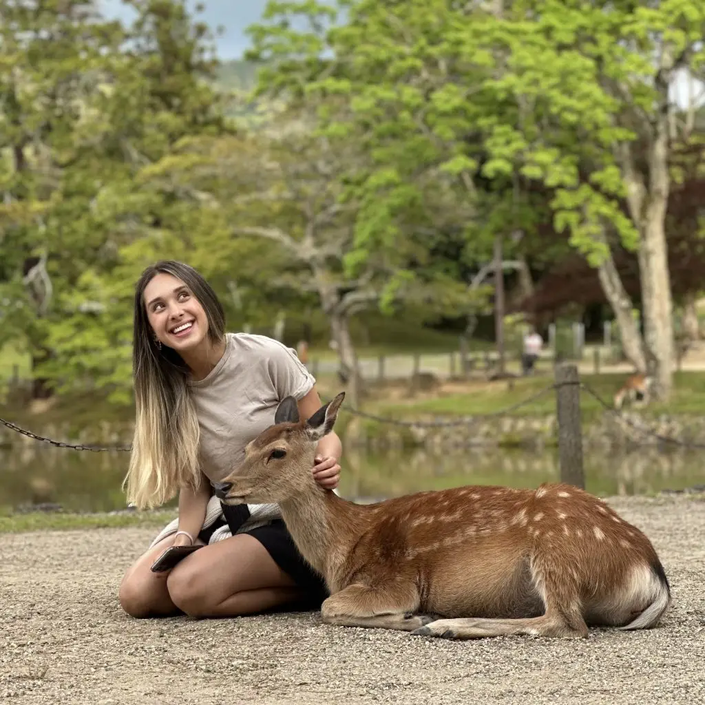 Itinerario de Viaje en Nara Japón: Venados que hacen venías